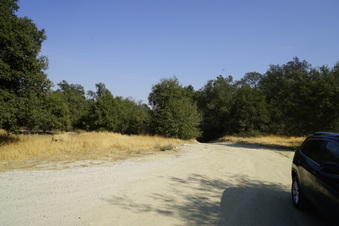 Enlarge photo 34