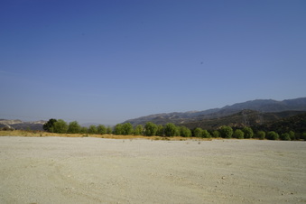 Enlarge photo 47