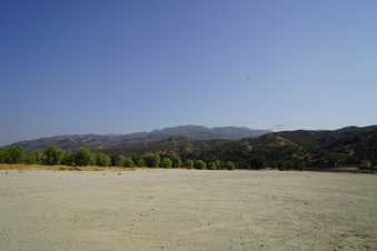 Enlarge photo 48