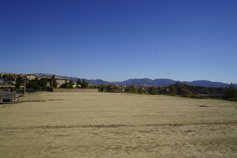 Enlarge photo 31