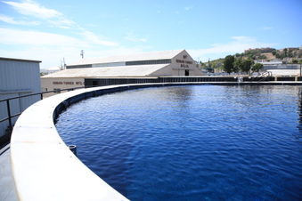 Enlarge photo 30