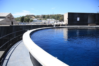 Enlarge photo 32
