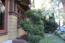 Enlarge photo 8