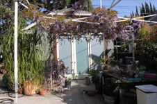 Enlarge photo 30