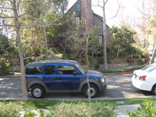 Enlarge photo 2
