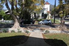 Enlarge photo 41