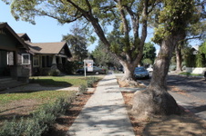 Enlarge photo 42