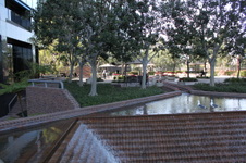 Enlarge photo 74