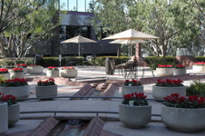 Enlarge photo 81