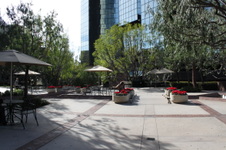 Enlarge photo 83