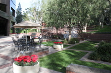 Enlarge photo 107