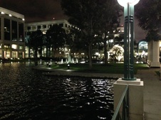Water Gardens (Night Shots)