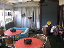 Enlarge photo 15