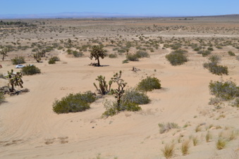 Enlarge photo 36