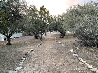 Enlarge photo 28