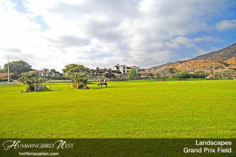 Enlarge photo 135