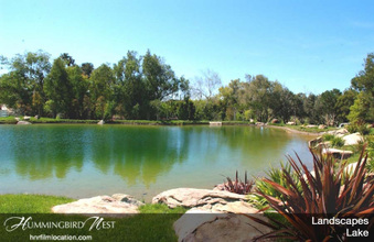 Enlarge photo 145