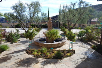 Enlarge photo 16