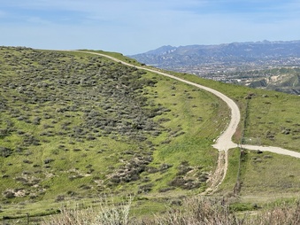 Enlarge photo 11