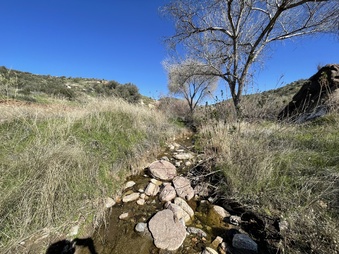 Enlarge photo 12