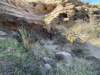 Enlarge photo 6