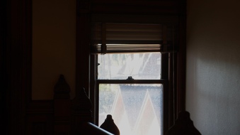 Enlarge photo 153