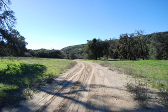 Enlarge photo 59