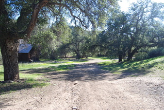 Enlarge photo 83