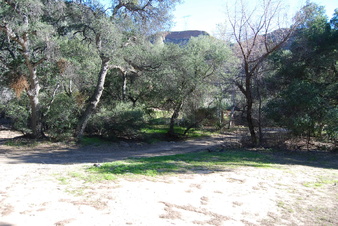 Enlarge photo 106
