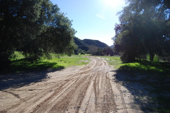 Enlarge photo 117