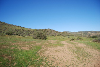 Enlarge photo 159