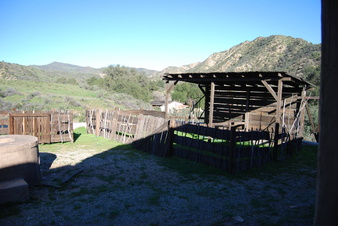 Enlarge photo 165