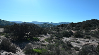 Enlarge photo 20