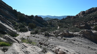 Enlarge photo 5