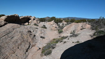 Enlarge photo 26