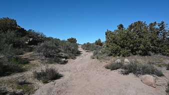 Enlarge photo 29
