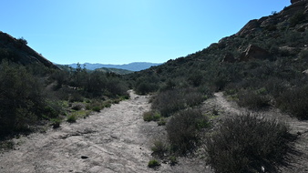 Enlarge photo 30