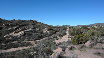 Enlarge photo 31