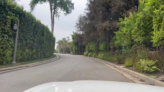 Delfern Drive