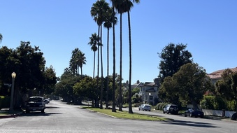 Enlarge photo 10