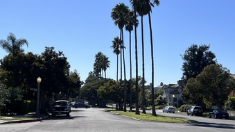 Enlarge photo 11