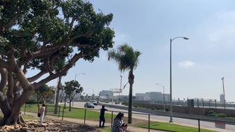 LAWA Lawn next to In-N-Out 