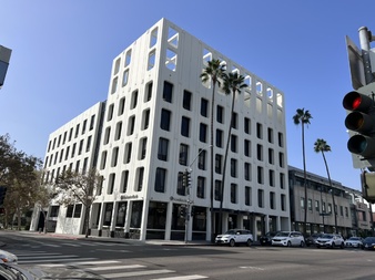 Palm Tree Street