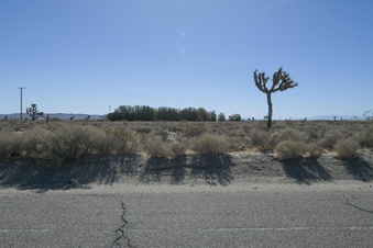 Enlarge photo 102
