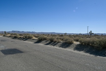 Enlarge photo 103