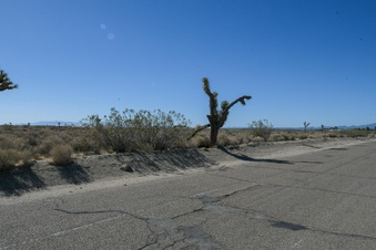 Enlarge photo 104