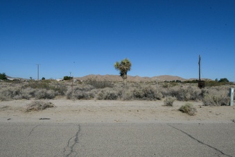 Enlarge photo 105