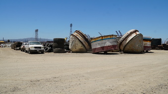 Enlarge photo 55