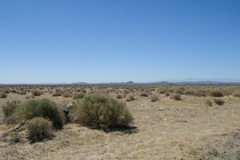 Enlarge photo 132