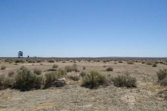 Enlarge photo 133